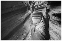 Slot Canyon, Keyhole Canyon. Zion National Park ( black and white)