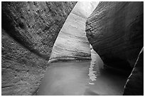 Water in the narrows of Keyhole Canyon. Zion National Park ( black and white)