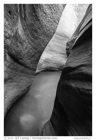 Pool in narrows, Keyhole Canyon. Zion National Park (black and white)