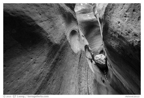 Chockstone and narrows, Keyhole Canyon. Zion National Park (black and white)