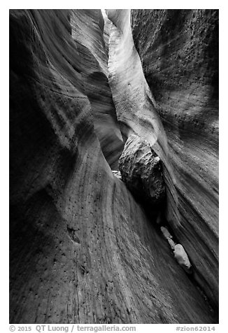 Stone wedged in slot canyon, Keyhole Canyon. Zion National Park (black and white)