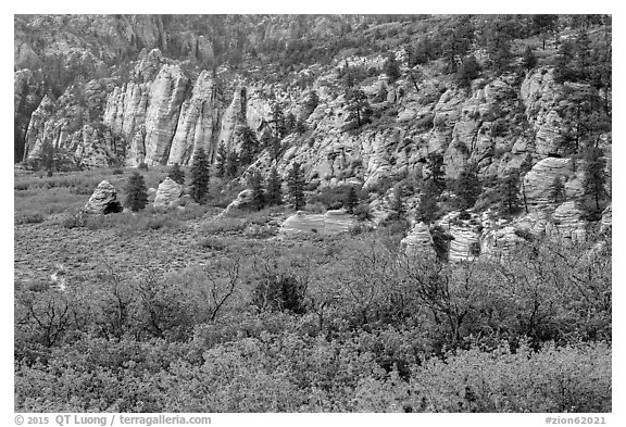 Hop Valley. Zion National Park (black and white)