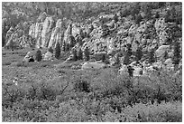 Hop Valley. Zion National Park ( black and white)