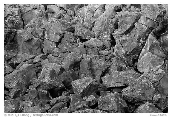 Volcanic rocks, Lava Point. Zion National Park (black and white)