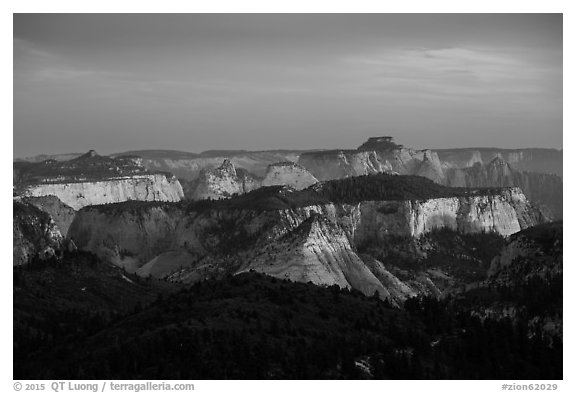Forested plateaus and canyons at sunset from Lava Point. Zion National Park (black and white)