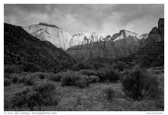Towers of the Virgin, stormy sunrise. Zion National Park (black and white)