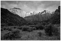 Towers of the Virgin, stormy sunrise. Zion National Park ( black and white)