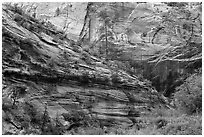 Echo Canyon. Zion National Park ( black and white)