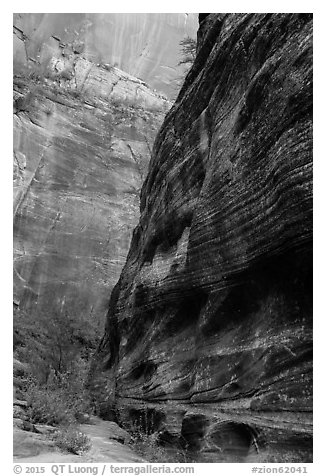 Echo Canyon and smooth face of Cable Mountain. Zion National Park (black and white)