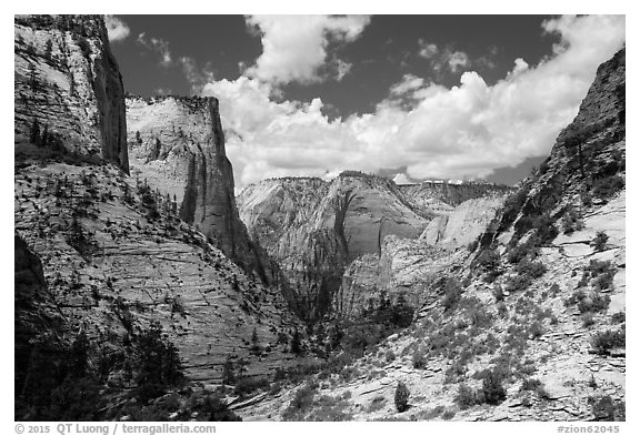 Steep sandstone cliffs above Echo Canyon. Zion National Park (black and white)
