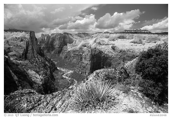 Zion Canyon from East Rim. Zion National Park (black and white)