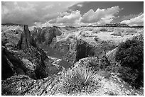 Zion Canyon from East Rim. Zion National Park ( black and white)