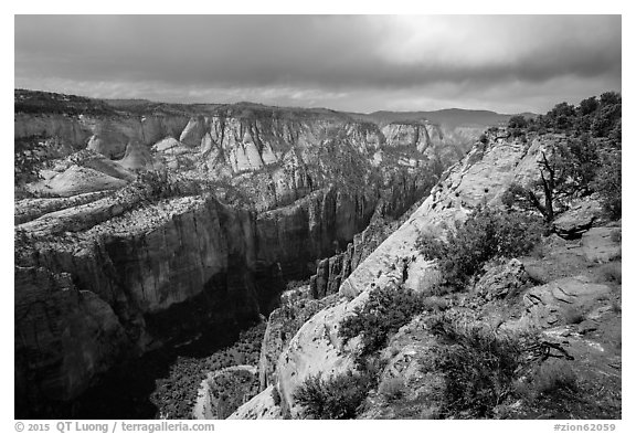 North Zion Canyon from above, Observation Point. Zion National Park (black and white)