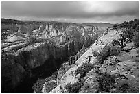 North Zion Canyon from above, Observation Point. Zion National Park ( black and white)