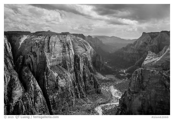 Multi-colored cliffs of Zion Canyon from Observation Point. Zion National Park (black and white)