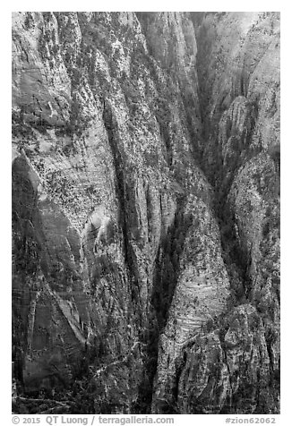 Distant view of Hidden Canyon with trail. Zion National Park (black and white)