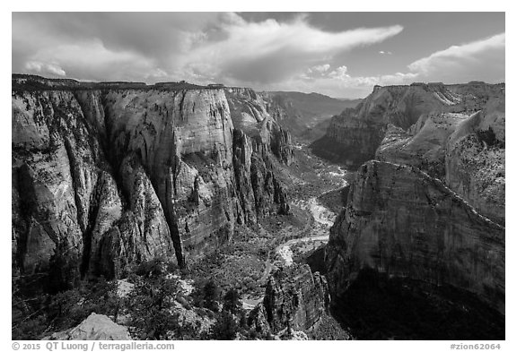 Zion Canyon from Observation Point. Zion National Park (black and white)