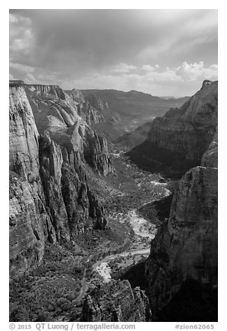 Zion Canyon from above. Zion National Park (black and white)