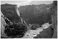 Hikers on East Rim trail. Zion National Park ( black and white)