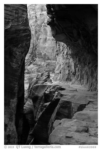 Trail cut into Echo Canyon. Zion National Park (black and white)