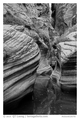 Scuptured canyon and reflections, Echo Canyon. Zion National Park (black and white)