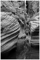 Scuptured canyon and reflections, Echo Canyon. Zion National Park ( black and white)