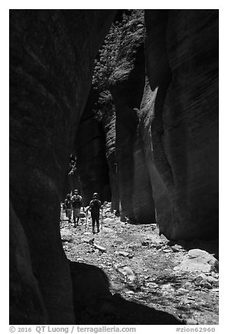 Hiking in narrow dry gorge, Orderville Canyon. Zion National Park (black and white)