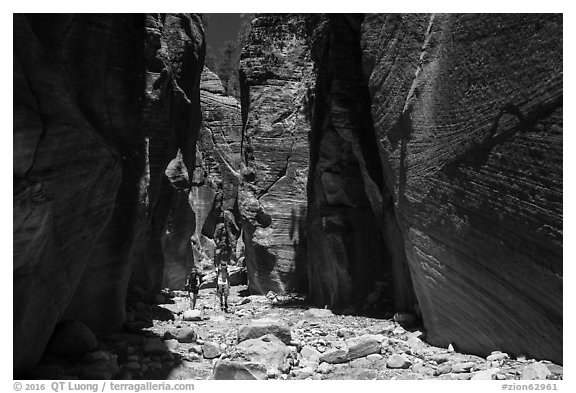 Hikers in Orderville Canyon. Zion National Park (black and white)