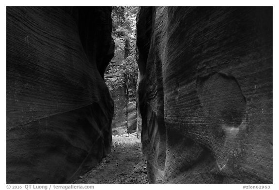 Tight passage, Orderville Canyon. Zion National Park (black and white)