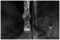 Tight passage, Orderville Canyon. Zion National Park ( black and white)