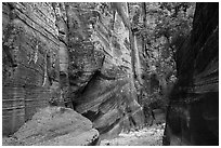Sandstone canyon and vegetation, Orderville Canyon. Zion National Park ( black and white)