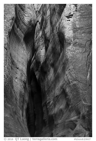 Slot between canyon walls, Orderville Canyon. Zion National Park (black and white)