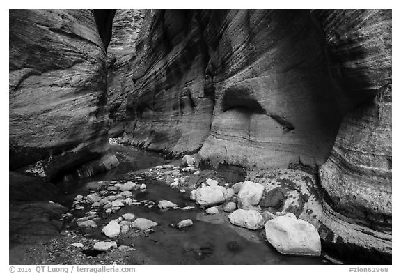 White boulders, Orderville Canyon. Zion National Park (black and white)