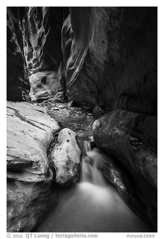 Stream, Orderville Canyon. Zion National Park (black and white)