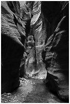 Glowing wall, Orderville Canyon. Zion National Park ( black and white)