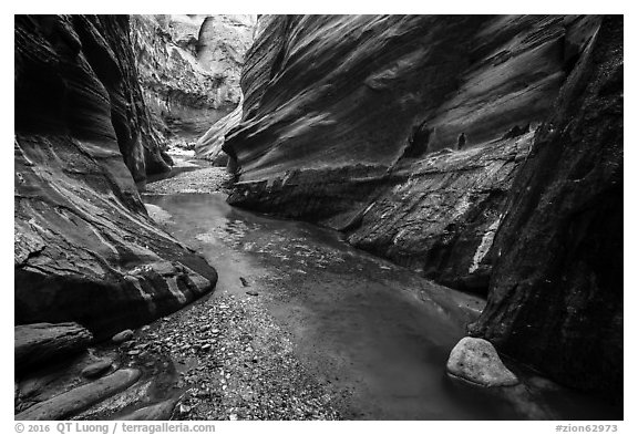 Stream flowing, Orderville Canyon. Zion National Park (black and white)