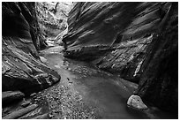 Stream flowing, Orderville Canyon. Zion National Park ( black and white)