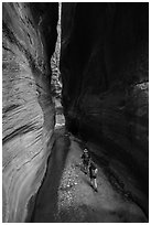Hikers walk between tall walls, Orderville Canyon. Zion National Park ( black and white)