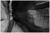 Walking between tall walls, Orderville Canyon. Zion National Park ( black and white)