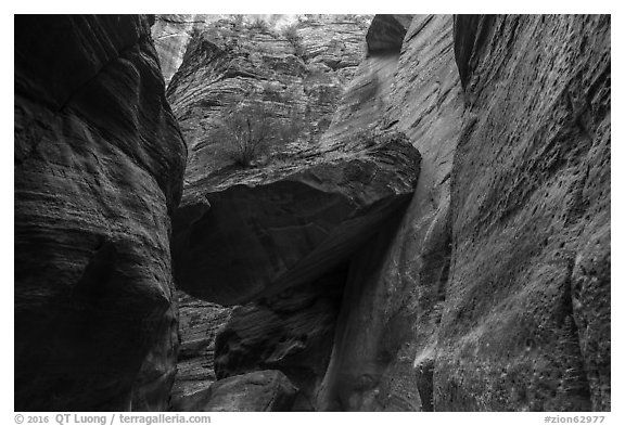 Large jammed boulder, Orderville Canyon. Zion National Park (black and white)