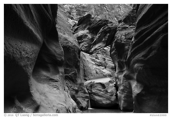 Boulder called Guillotine wedged in Orderville Canyon. Zion National Park (black and white)