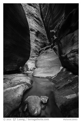 Stream in slot canyon, Orderville Canyon. Zion National Park (black and white)