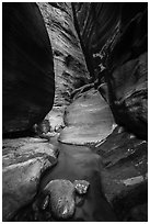 Stream in slot canyon, Orderville Canyon. Zion National Park ( black and white)