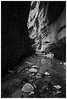 Stream and glowing wall, Orderville Canyon. Zion National Park ( black and white)