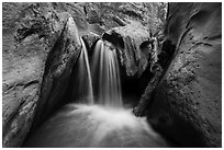 Waterfall and jammed log, Orderville Canyon. Zion National Park ( black and white)