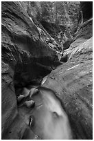 Narrow watercourse in Orderville Canyon. Zion National Park ( black and white)