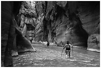 Hikers in the Narrows below Orderville Junction. Zion National Park ( black and white)