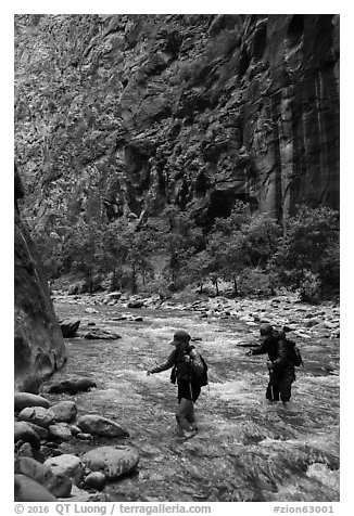 Hikers in the Narrows in late afternoon. Zion National Park (black and white)