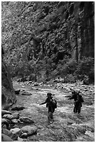 Hikers in the Narrows in late afternoon. Zion National Park ( black and white)