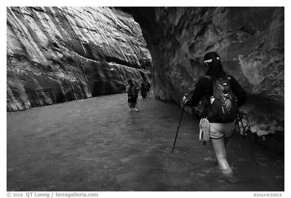 Hikers in Virgin River narrows passage without riverbank. Zion National Park (black and white)